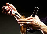 coupe salon