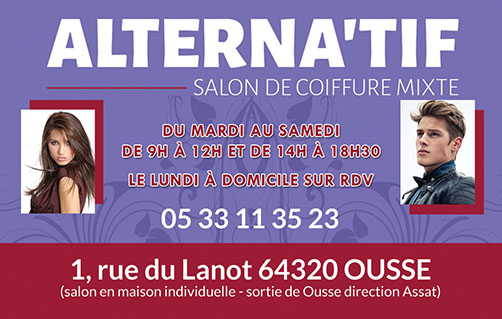 Salon Alternatif